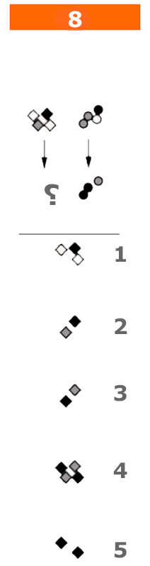 Non Verbal Reasoning Test