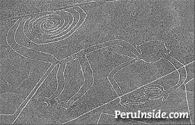Mono en las Líneas de Nasca mono-nasca