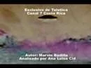 Video-ovni-costarrica